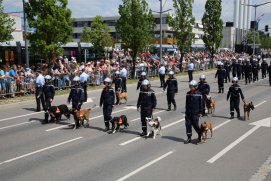 Fédération Nationale des Pompiers